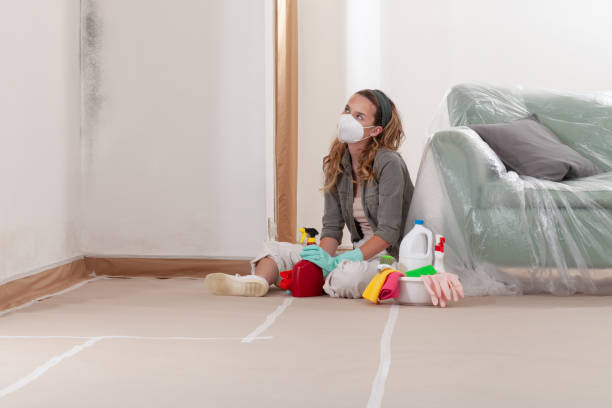 Reliable Basement Mold Remediation contractor in Wylie, TX by Mold Remediation HQ